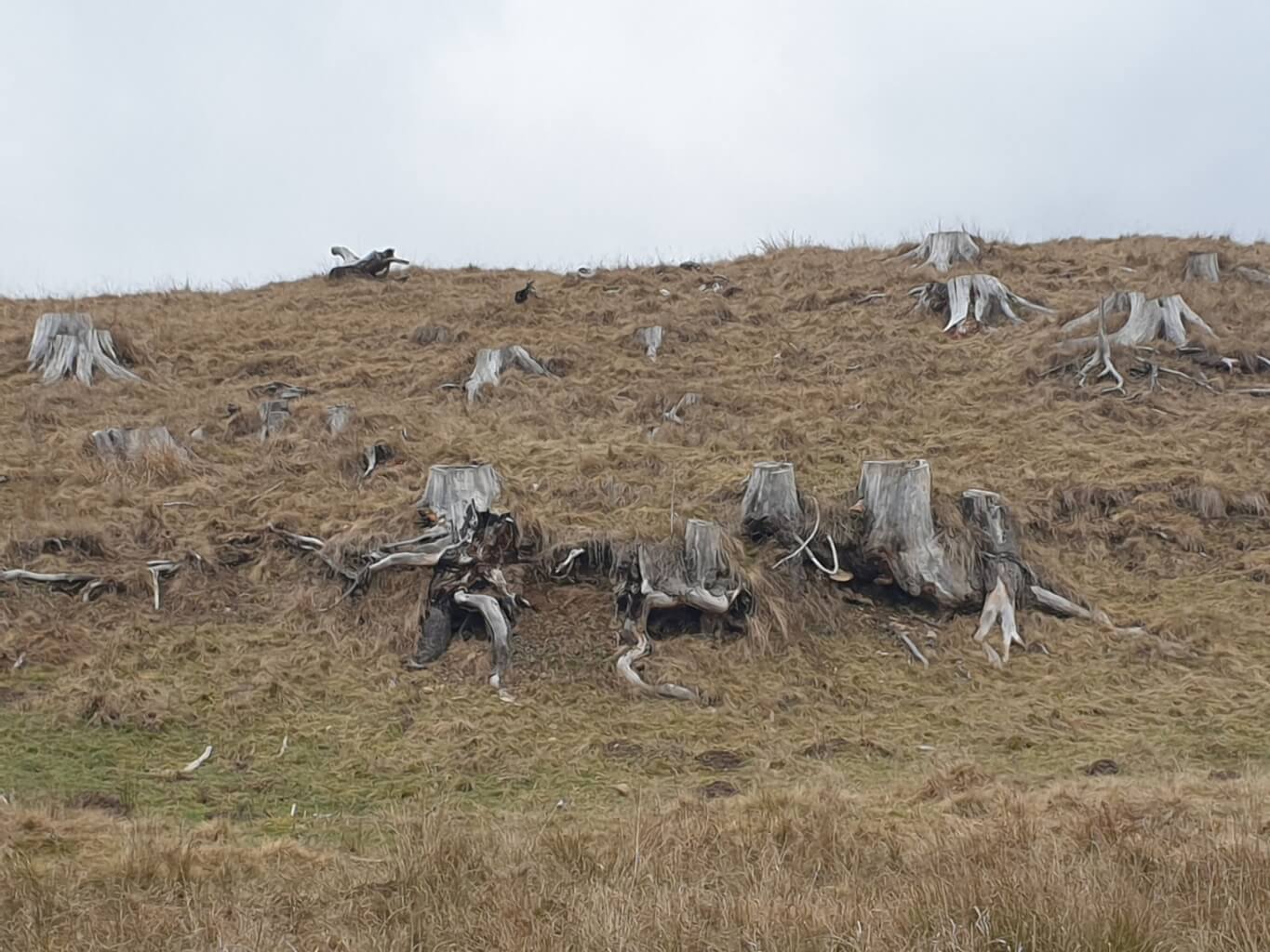 Film: Emberfeletti – A láthatóvá tett láthatatlan (2020)