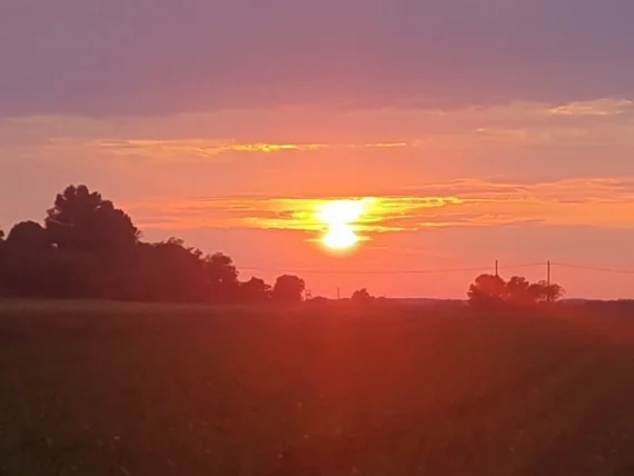 Te is voltál már fekete bárány